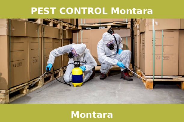 PEST CONTROL Montara